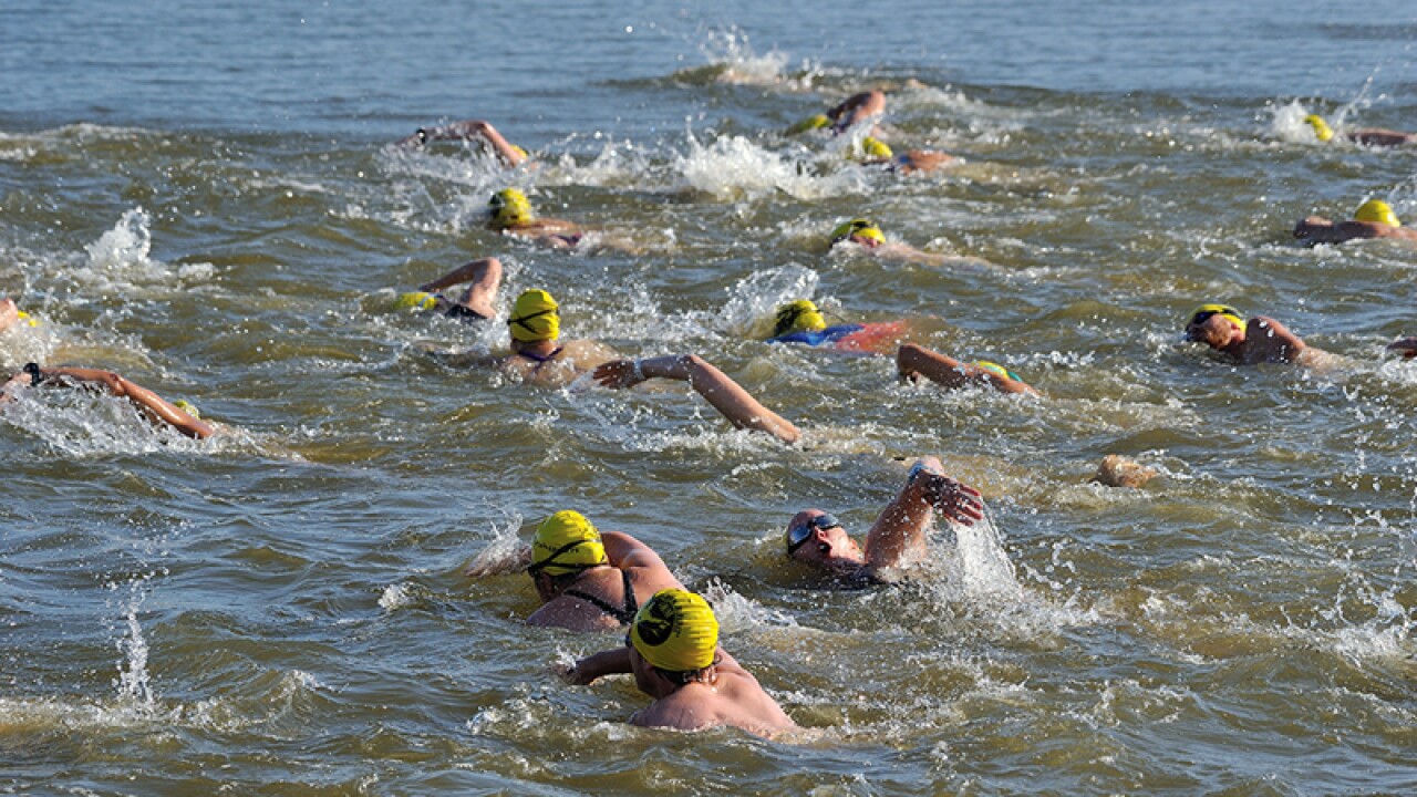 A large group of athletes swimming in open water. 