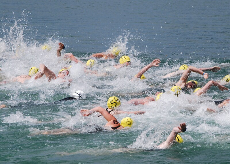 A group of swimmers in open water. All swimmers have on yellow swim caps with numbers. 