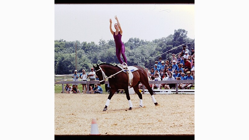 Female equestrian standing on a horses back performing. 