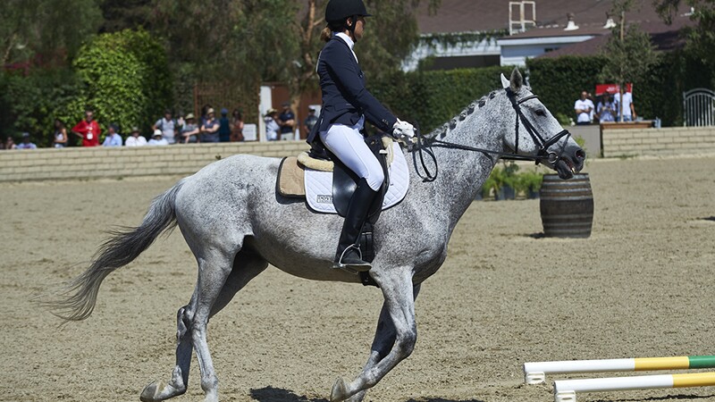 An athlete riding a horse during an equestrian event at Special Olympics World Summer Games Los Angeles 2015