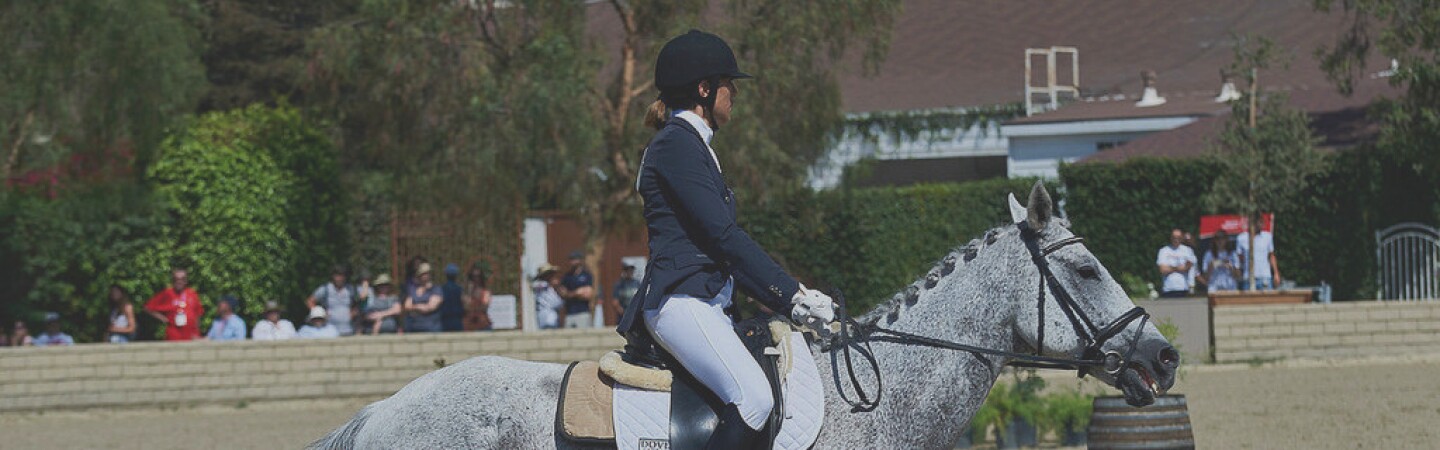 Athlete riding a horse in the performance ring. 